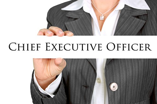 01 Chief Executive Officer